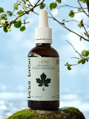 produit
H&ecirc;tre Fagus sylvatica � Gemmoth&eacute;rapie 1D Bio � Drainage profond & peau