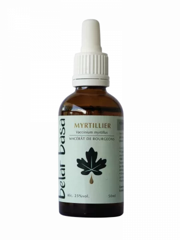 Myrtillier Vaccinium myrtillus � Gemmoth&eacute;rapie 1D Bio � Yeux & M&eacute;tabolisme