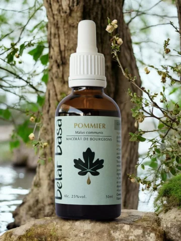Pommier Malus communis � Gemmoth&eacute;rapie 1D Bio � &Eacute;motions & Hormones f&eacute;minines