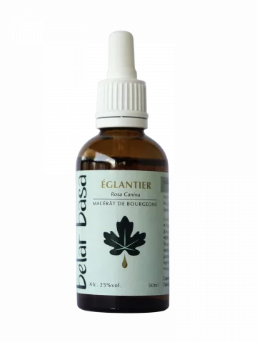 &Eacute;glantier Rosa canina � Gemmoth&eacute;rapie 1D Bio � D&eacute;fenses & Vitalit&eacute; de l�enfant