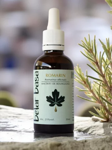 Romarin Rosmarinus officinalis � Gemmoth&eacute;rapie 1D Bio � Foie, fatigue & clart&eacute; mentale