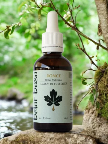 Ronce Rubus fruticosus � Gemmoth&eacute;rapie 1D Bio � Os, poumons & terrain vieillissant