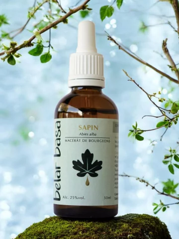 Sapin Abies alba � Gemmoth&eacute;rapie 1D Bio � Os, croissance & remin&eacute;ralisation