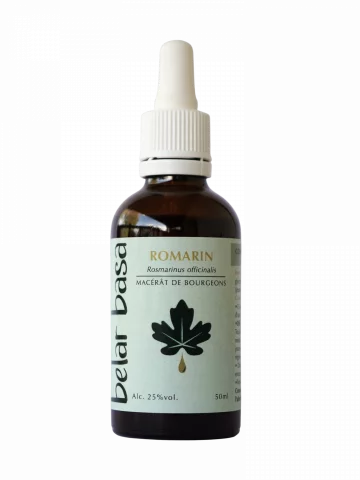 Romarin Rosmarinus officinalis � Gemmoth&eacute;rapie 1D Bio � Foie, fatigue & clart&eacute; mentale