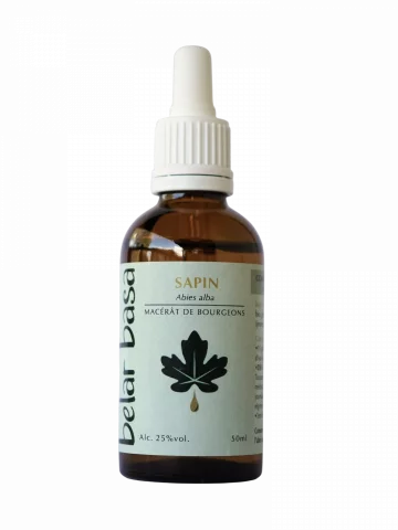 Sapin Abies alba � Gemmoth&eacute;rapie 1D Bio � Os, croissance & remin&eacute;ralisation