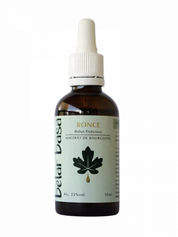 Ronce Rubus fruticosus � Gemmoth&eacute;rapie 1D Bio � Os, poumons & terrain vieillissant