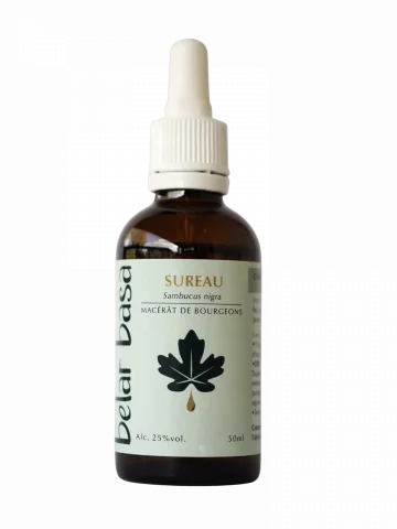 Sureau Sambucus nigra � Gemmoth&eacute;rapie 1D Bio � D&eacute;tox, d&eacute;fenses & sph&egrave;re ORL