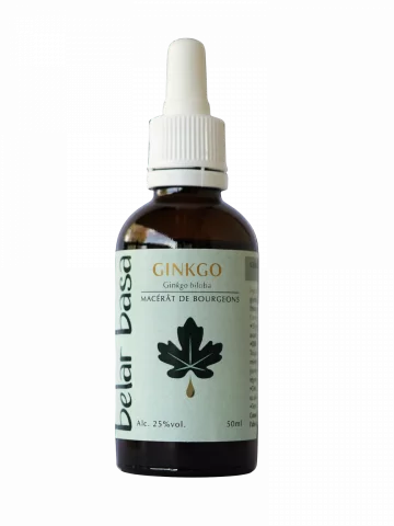 Ginkgo Ginkgo biloba � Gemmoth&eacute;rapie 1D Bio � Circulation c&eacute;r&eacute;brale & m&eacute;moire
