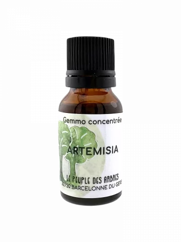 Armoise anuelle - Art&eacute;misia annua extrait hydroalcoolique 15 ml immunit&eacute; naturelle Bio