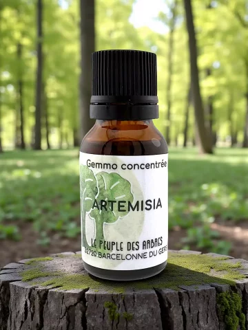 Art&eacute;misia annua extrait hydroalcoolique 15 ml immunit&eacute; naturelle Bio