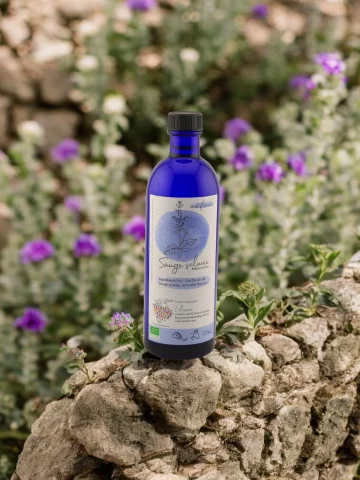 Hydrolat Sauge sclar&eacute;e Bio Lilizain Pays basque � Digestif et purifiant 200 ml