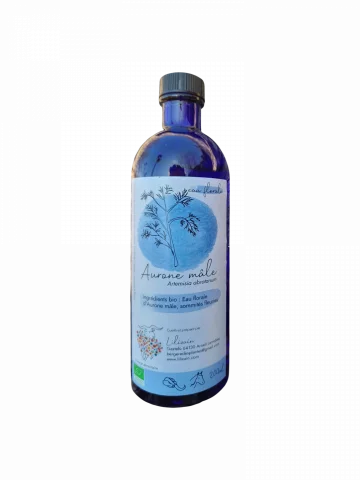 Hydrolat Aurone m&acirc;le Bio Lilizain Pays basque � Digestif et tonique 200 ml