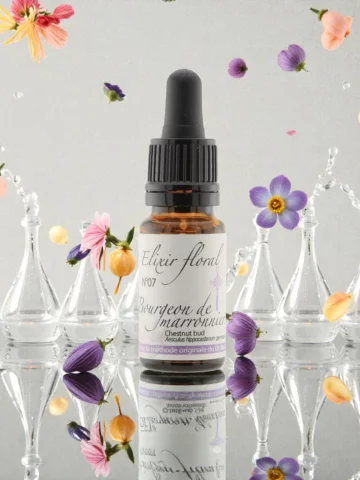 Fleur de Bach Bourgeons de Marronnier Chestnut Bud &Eacute;lixir floral Bio Apprentissage et Prise de conscience