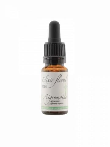 Fleur de Bach Aigremoine Agrimony Elixir floral bio Authenticit&eacute; et Paix int&eacute;rieure