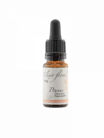 Fleur de Bach Prunus Cherry Plum Elixir floral Bio Calme et ma&icirc;trise de soi