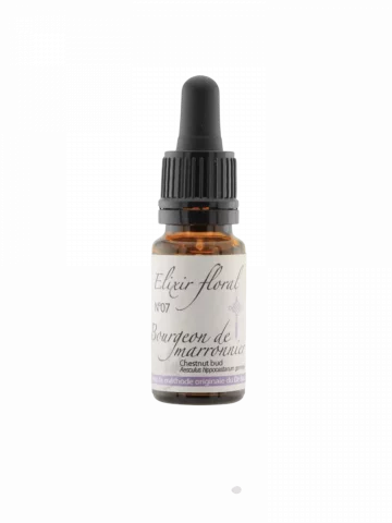 Fleur de Bach Bourgeons de Marronnier Chestnut Bud &Eacute;lixir floral Bio Apprentissage et Prise de conscience