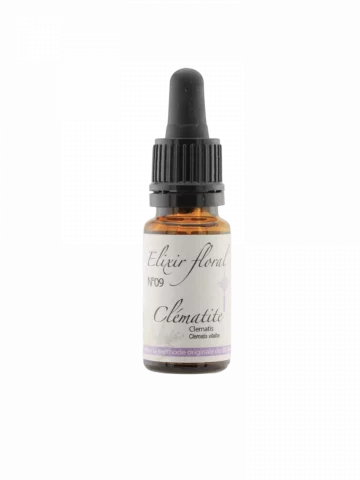 Fleur de Bach Cl&eacute;matite Clematis &Eacute;lixir floral Bio Ancrage et Concentration