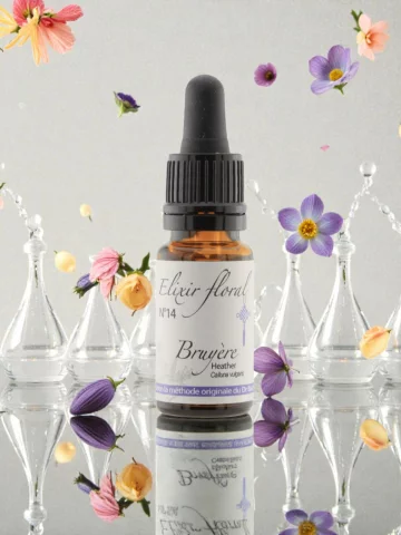 Fleur de Bach Bruy&egrave;re Heather &Eacute;lixir floral Bio &Eacute;coute et Ouverture aux autres