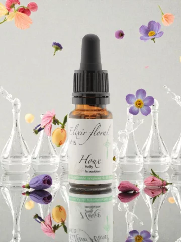 Fleur de Bach Houx Holly &Eacute;lixir floral Bio Ouverture du c�ur et Apaisement &eacute;motionnel