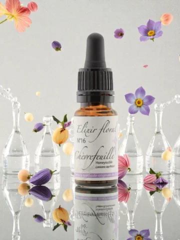 Fleur de Bach Ch&egrave;vrefeuille Honeysuckle &Eacute;lixir floral Bio L&acirc;cher-prise et Pr&eacute;sence