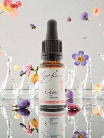 Fleur de Bach Ch&ecirc;ne Oak &Eacute;lixir floral Bio Endurance et L&acirc;cher-prise