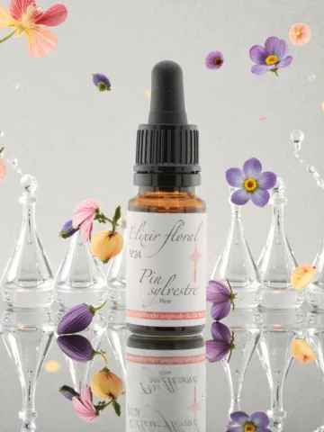 Fleur de Bach Pin sylvestre Pine &Eacute;lixir floral Bio Lib&eacute;ration de la culpabilit&eacute; et Estime de soi