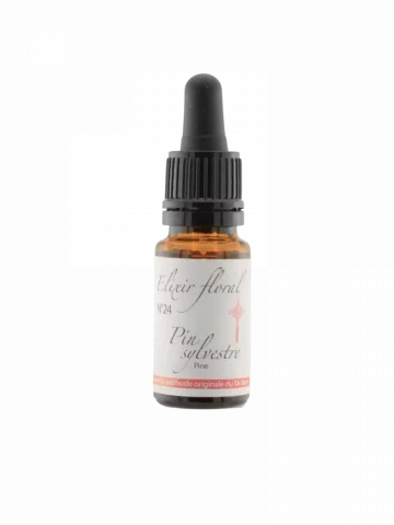 Fleur de Bach Pin sylvestre Pine &Eacute;lixir floral Bio Lib&eacute;ration de la culpabilit&eacute; et Estime de soi