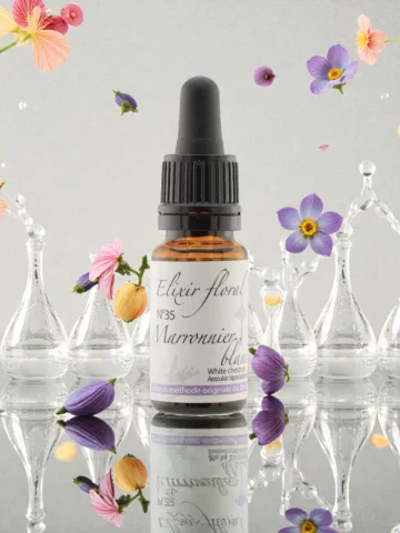 Fleur de Bach Marronnier blanc White Chestnut &Eacute;lixir floral Bio Apaisement mental et Clart&eacute;