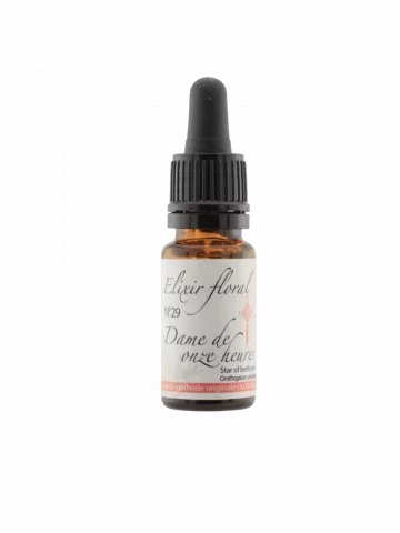 Fleur de Bach Dame de onze heures Star of Bethlehem &Eacute;lixir floral Bio R&eacute;confort et Apaisement