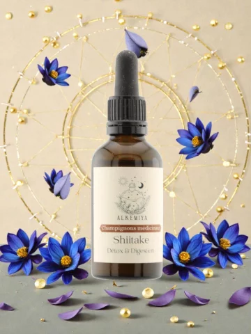 Champignon Shiitake bio double extraction d&eacute;tox digestion et vitalit&eacute; h&eacute;patique