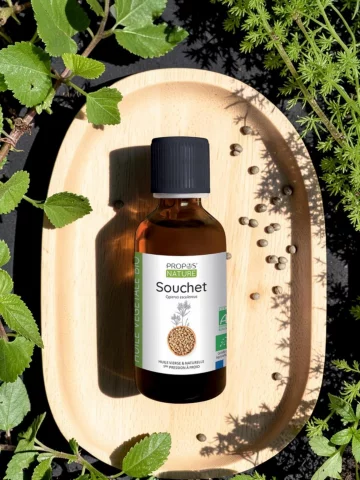 Huile de Souchet Bio vierge - soin anti repousse et peau douce