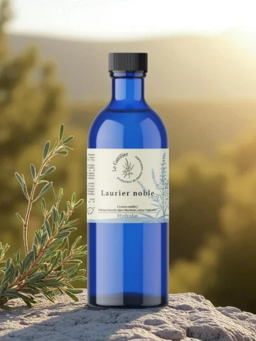 Hydrolat de Laurier noble bio digestion bouche et peau origine France