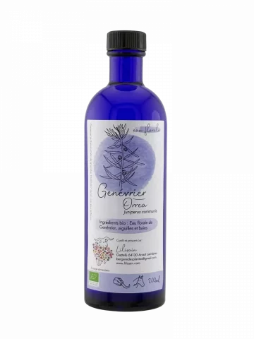 Eau florale de Genevrier commun bio hydrolat drainant digestif artisanal