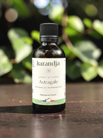 Extrait de plante Astragale bio immunit&eacute; vitalit&eacute; 50 ml