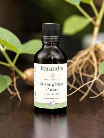 Extrait de plante Ginseng blanc bio &eacute;nergie vitalit&eacute; tonus 50 ml