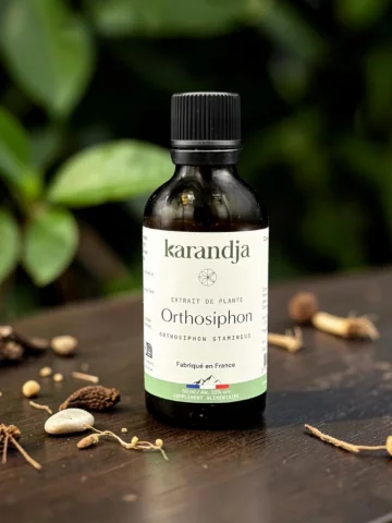 Extrait de plante Orthosiphon bio drainage &eacute;limination d&eacute;tox 50 ml