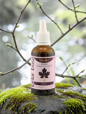 Vitalit&eacute; synergie gemmoth&eacute;rapie 1D dynamis&eacute;e Bio &eacute;nergie et tonus naturel