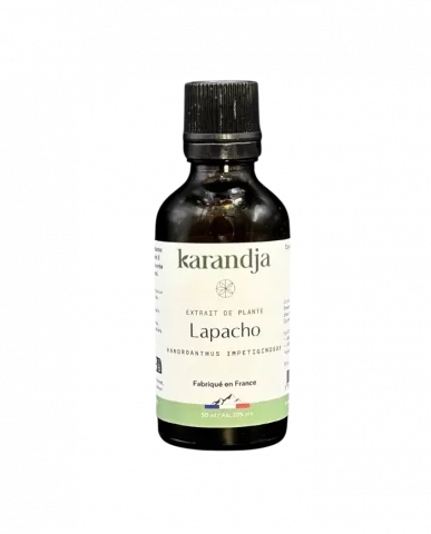 Extrait de plante bio Lapacho 50 ml  Renforcement immunitaire et antioxydant naturel
