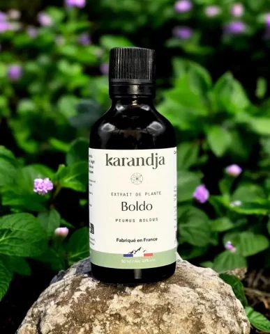 Extrait de plante bio Boldo 50 ml  Soutien hépatique et confort digestif
