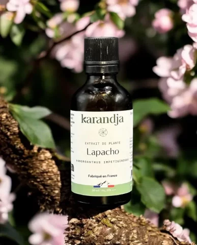 Extrait de plante bio Lapacho 50 ml  Renforcement immunitaire et antioxydant naturel