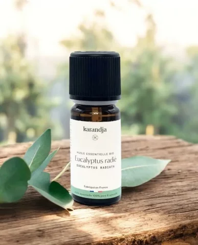 Huile essentielle bio d'Eucalyptus radié 10 ml  Pure et naturelle