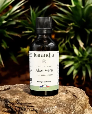 Extrait de plante bio Aloe Vera 50 ml  Antioxydant naturel pour le bien-être général