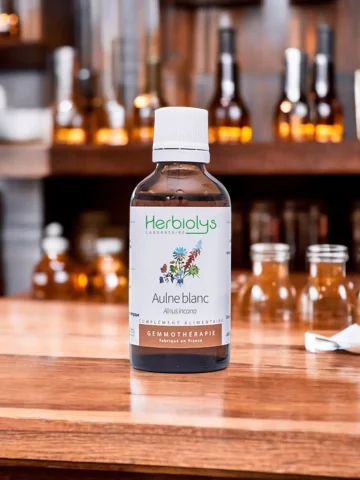 Macérat de bourgeons bio d'Aulne blanc  Soutien cognitif et équilibre hormonal