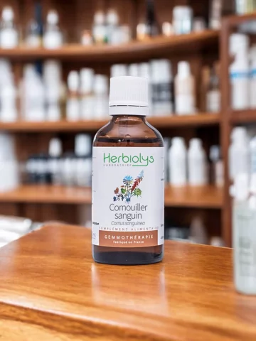 Macérat de bourgeons bio de Cornouiller sanguin (Cornus sanguinea)  Soutien circulatoire et nerveux