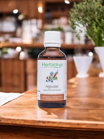 Macérat de bourgeons bio d'Argousier  Vitalité et défenses naturelles