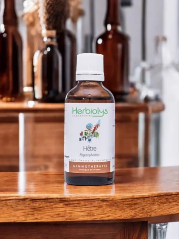 Macérat de bourgeons bio de Hêtre (Fagus sylvatica)  Drainage et soutien immunitaire