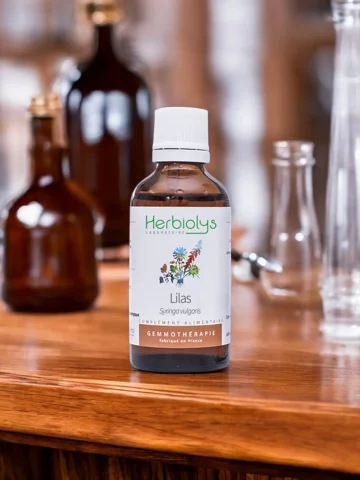 Macérat de bourgeons bio de Lilas (Syringa vulgaris)  Soutien cardiovasculaire