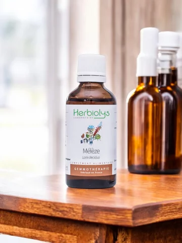 Macérat de bourgeons bio de Mélèze (Larix decidua)  Vitalité et soutien cognitif