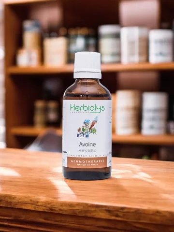 Macérat de bourgeons bio d'Avoine (Avena sativa)  Équilibre nerveux et vitalité