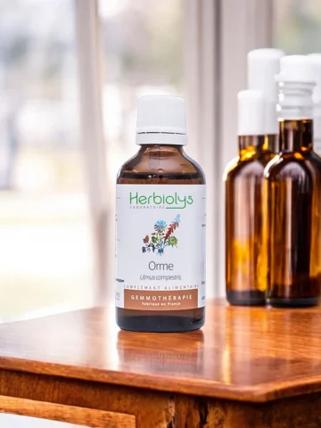 Macérat de bourgeons bio d'Orme (Ulmus campestris)  Équilibre cutané et drainage